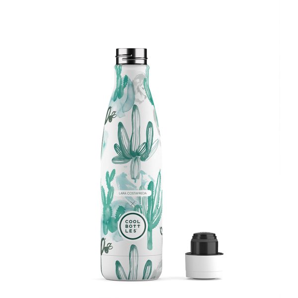 藝術家 lara costafreda watercolor cactus 仙人掌 藝術家 lara costafreda watercolor cactus 仙人掌