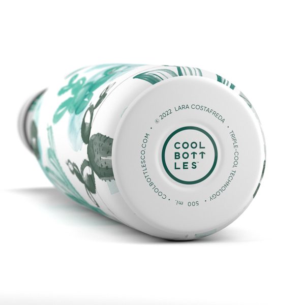 藝術家 lara costafreda watercolor cactus 仙人掌 藝術家 lara costafreda watercolor cactus 仙人掌