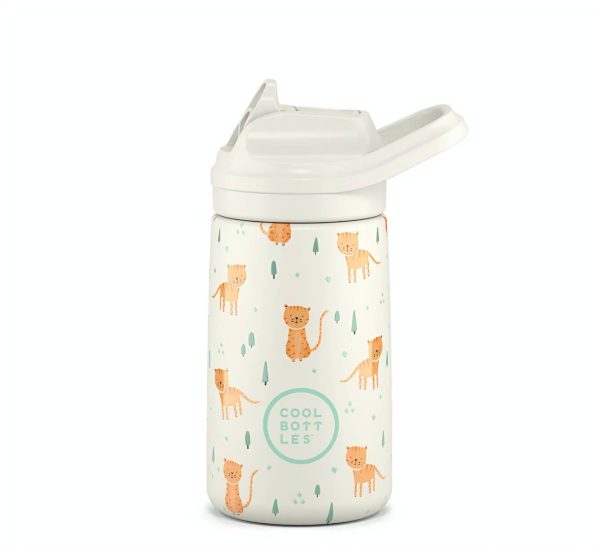 whisker kittens 鬍鬚小貓咪